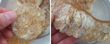 キャラメル味の保存パン2